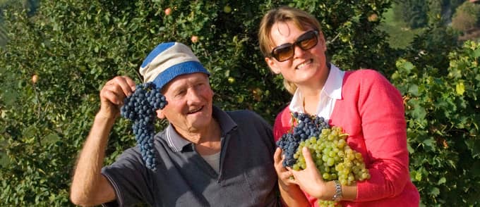 Viticoltore nelle Langhe