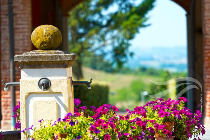 An Extraordinary Historic Wine Estate in Monferrato