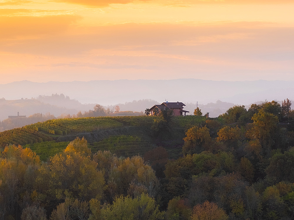 Professional property marketing and home sales in Piedmont, Italy, connecting sellers with international buyers