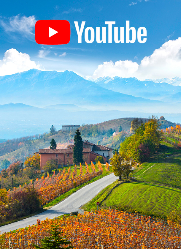 Autumn vineyards and a country house in the Langhe hills of Piedmont, Italy, with the Alps beyond