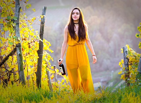 Correggia wines, Roero