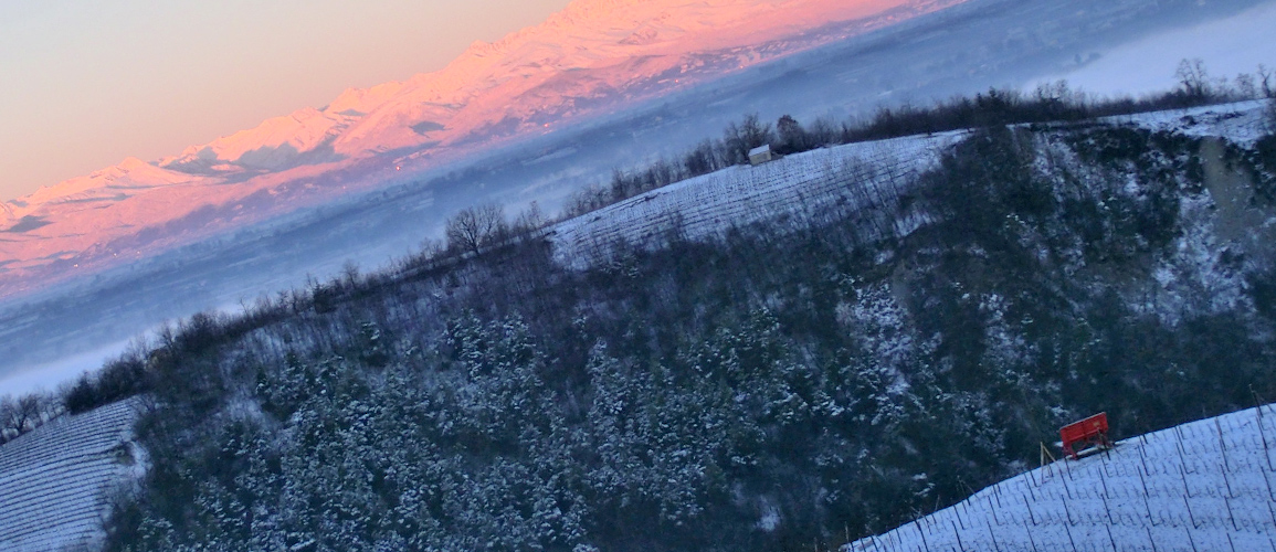 Red bench on Chris' property