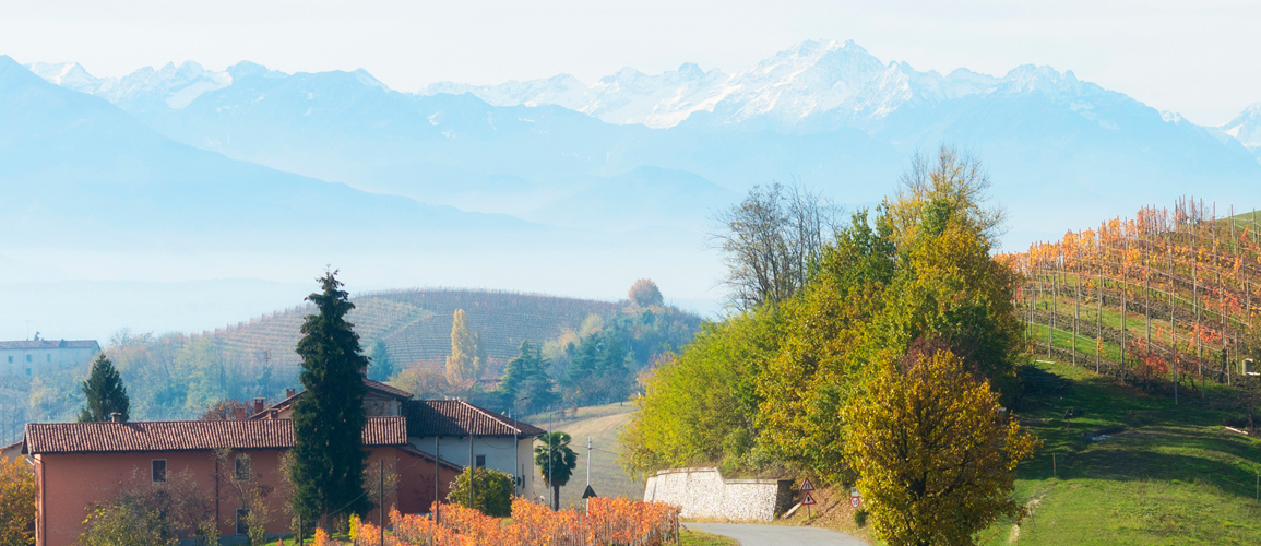 The beautiful Langhe