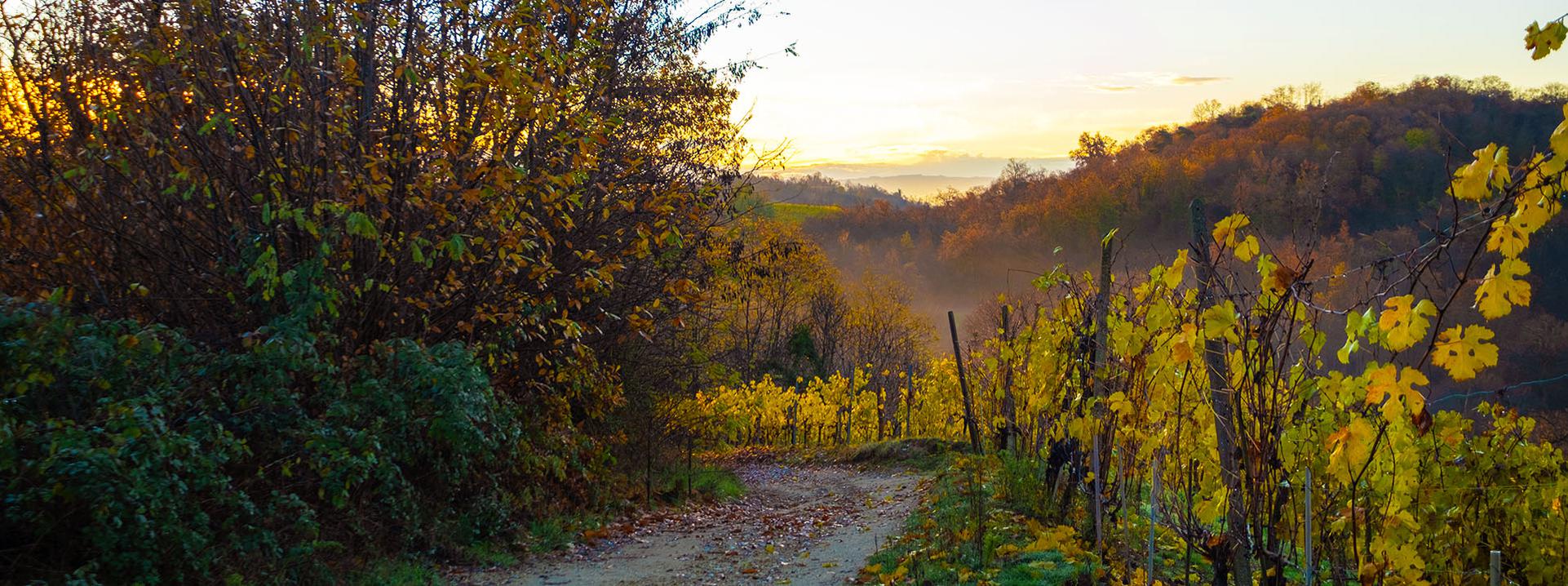 What happened in 2021 and what will happen in 2022