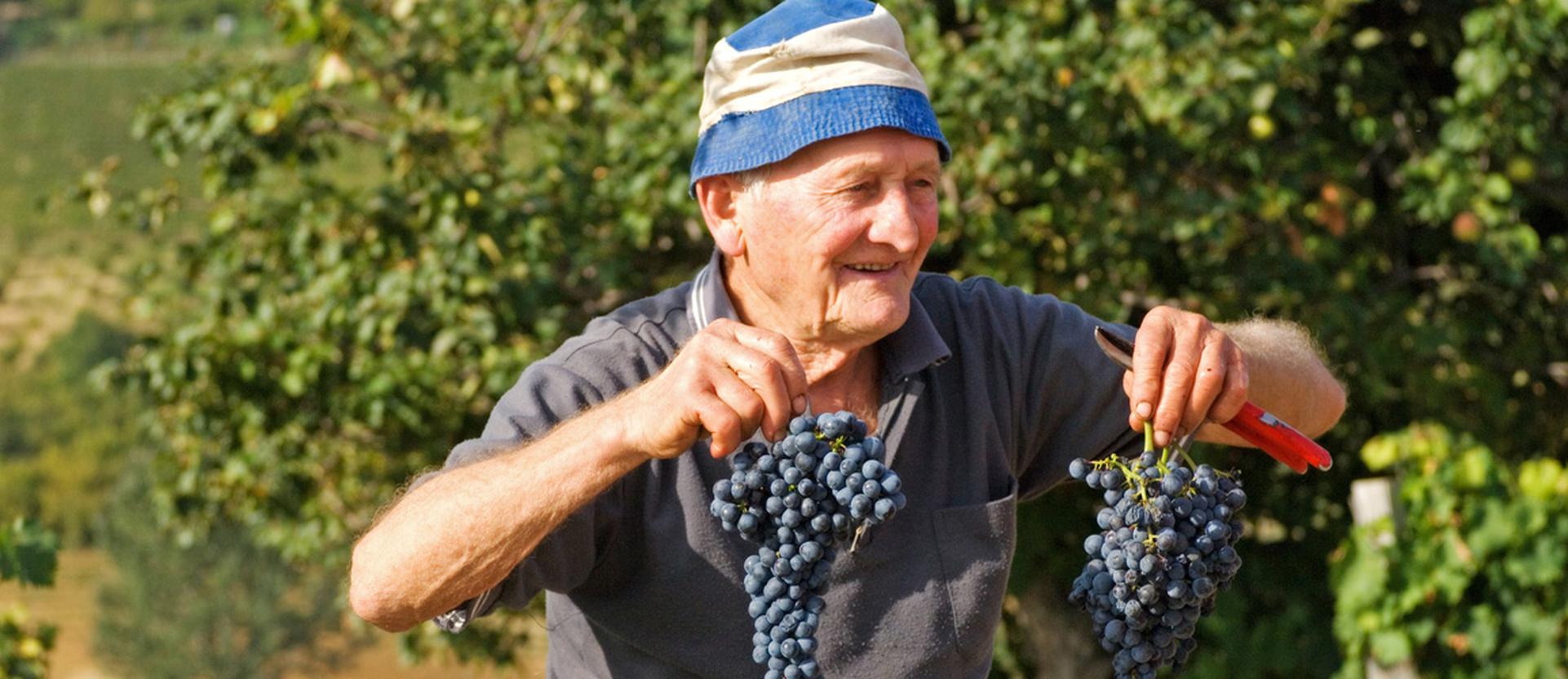 Why Piemonte is good for your health