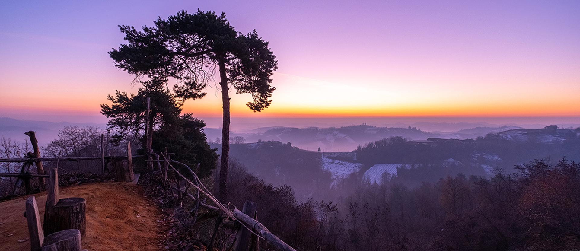 Piedmont Property market in March 2022