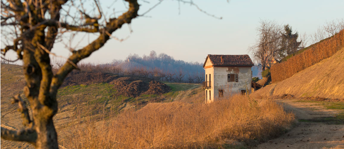 Buy a renovation house