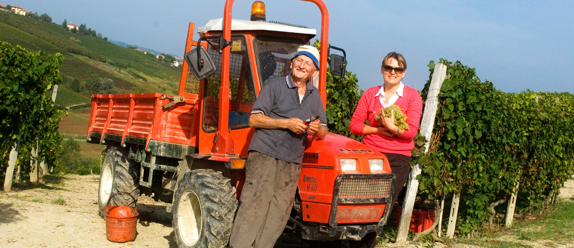 Wine grower in the Langhe