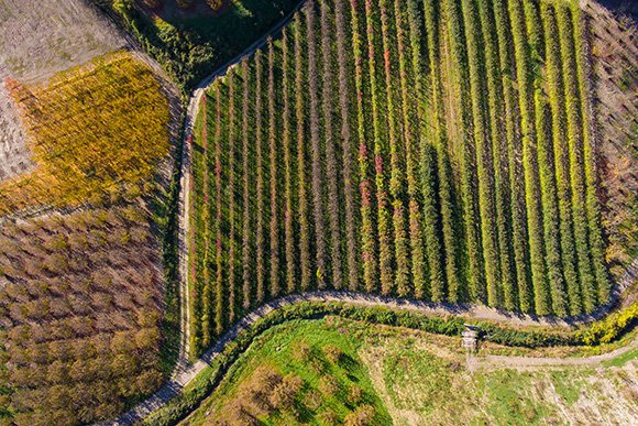 Fotografia immobiliare di Richard A. Edwards - Langhe Property