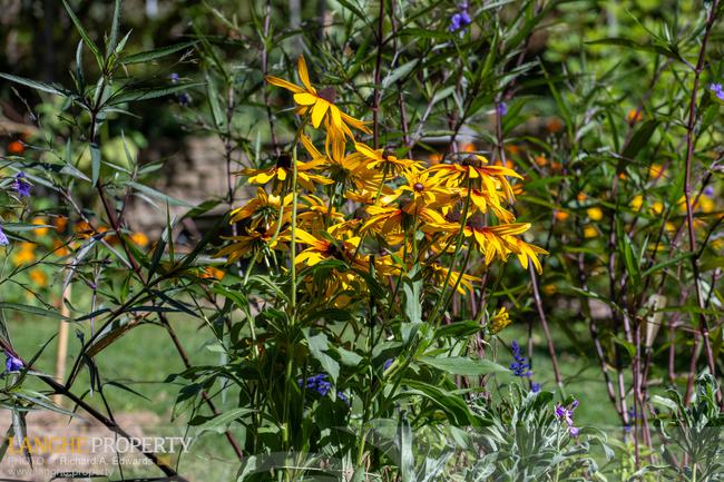 SOLD!! Langhe vacation rental & private home