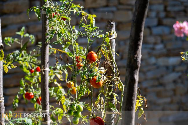 SOLD!! Langhe vacation rental & private home