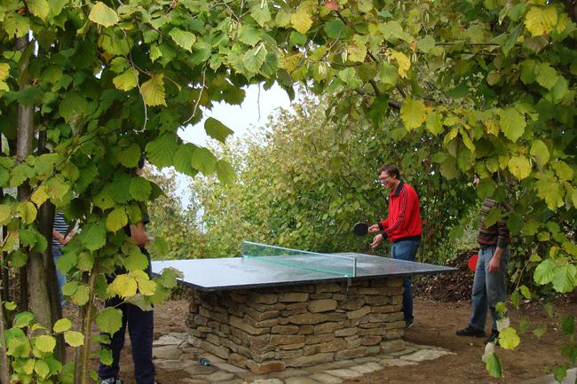 SOLD!! Langhe vacation rental & private home