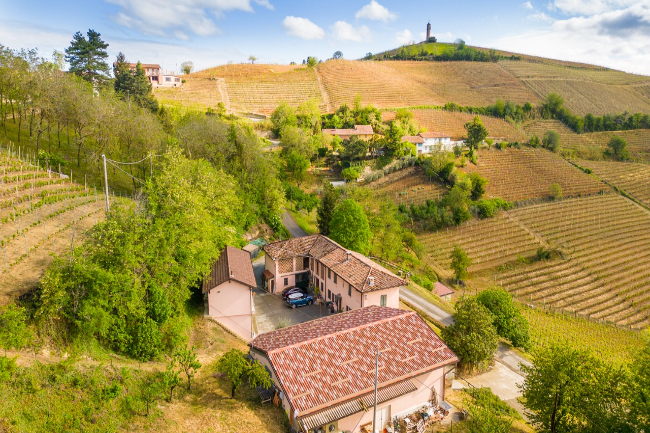Quality wine production & home for sale