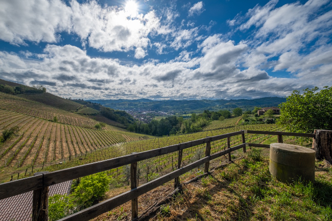 Quality wine production & home for sale