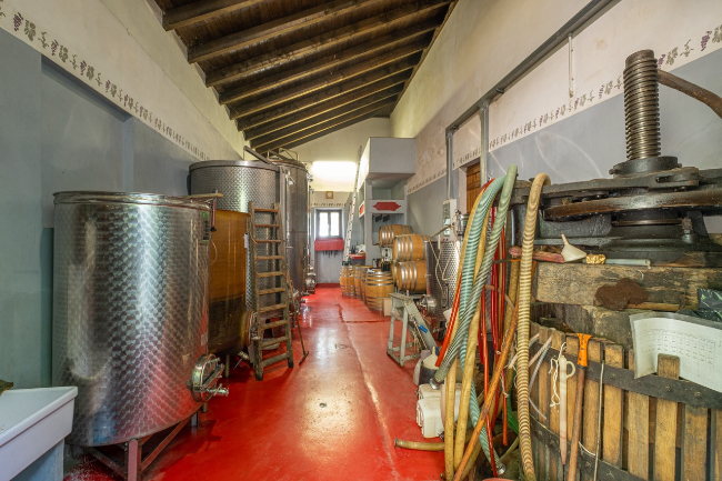 Quality wine production & home for sale