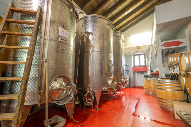 Quality wine production & home for sale