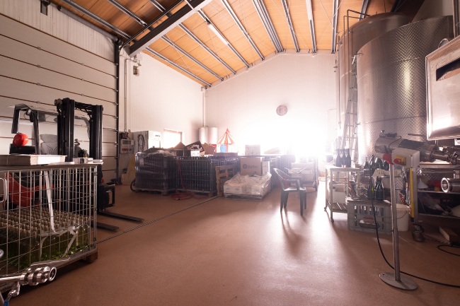 Quality wine production & home for sale