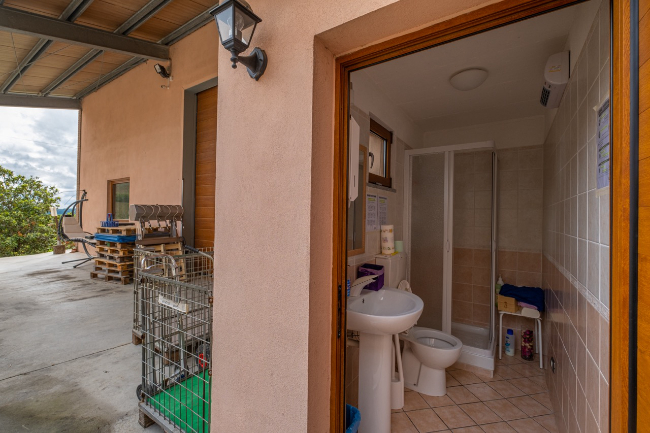 Quality wine production & home for sale