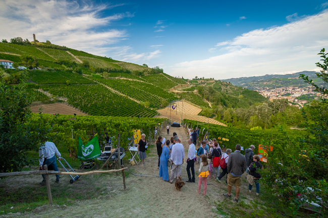 Quality wine production & home for sale