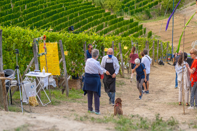 Quality wine production & home for sale