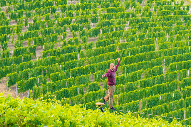 Quality wine production & home for sale