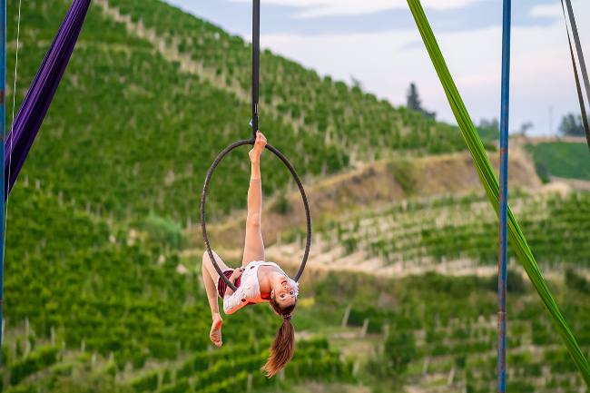 Quality wine production & home for sale