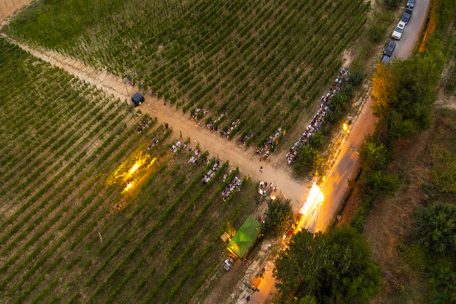 Quality wine production & home for sale