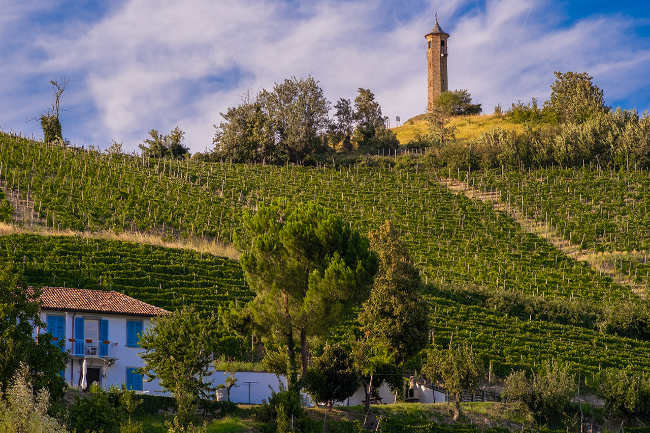 Quality wine production & home for sale