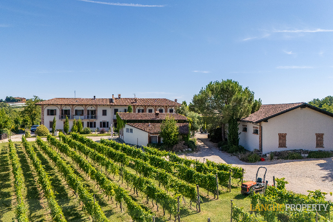 Agriturismo - B&B, restaurant, winery