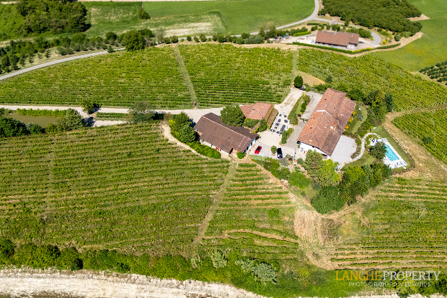 Agriturismo - B&B, restaurant, winery