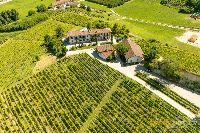 Agriturismo - B&B, restaurant, winery