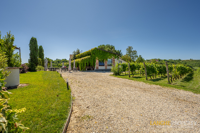 Agriturismo - B&B, restaurant, winery