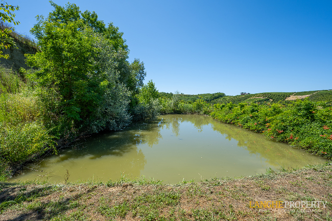 Agriturismo - B&B, restaurant, winery