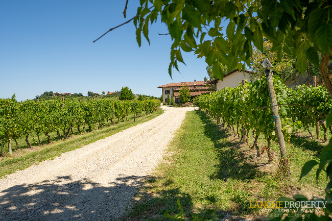 Agriturismo - B&B, restaurant, winery