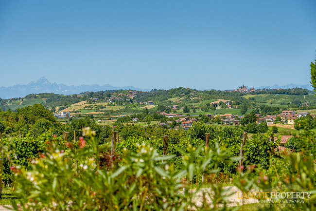 Agriturismo - B&B, restaurant, winery