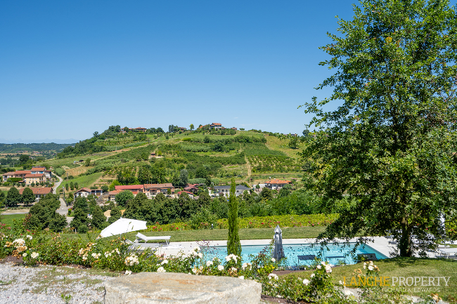 Agriturismo - B&B, restaurant, winery