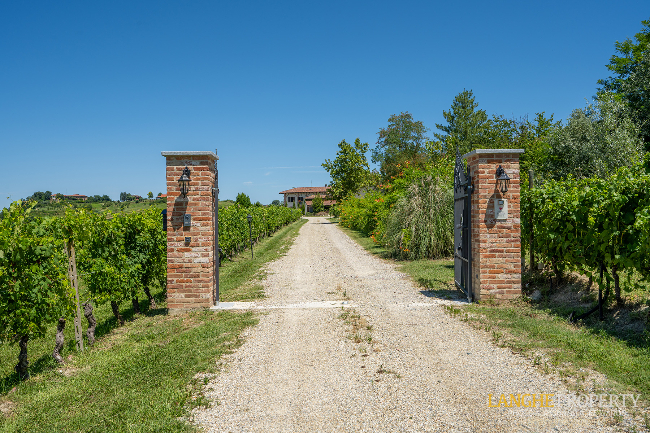 Agriturismo - B&B, restaurant, winery