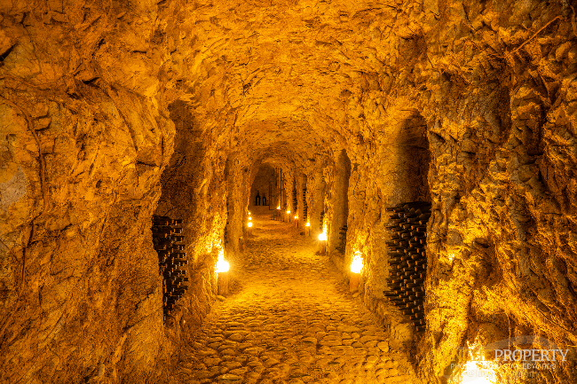 Agriturismo - B&B, restaurant, winery