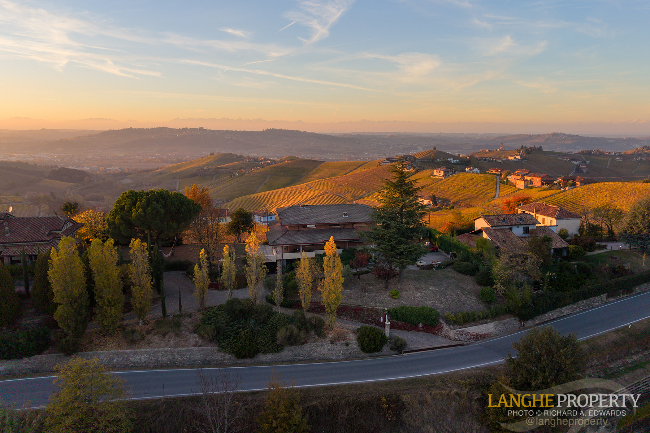 Barbaresco villa with stunning view of vineyards and Alps