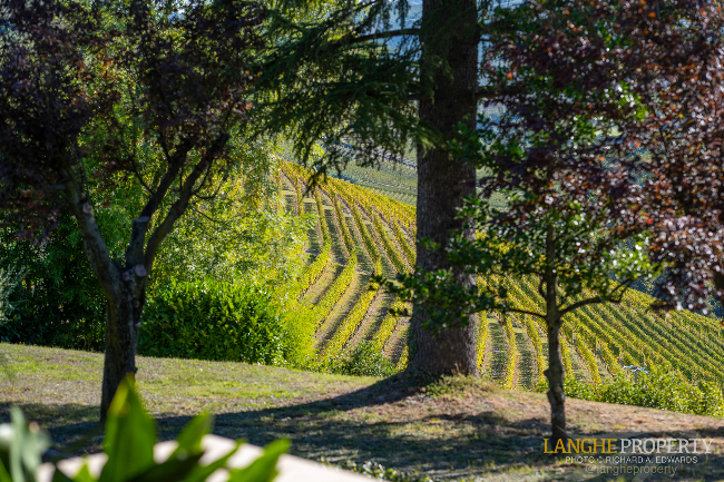 Barbaresco villa with stunning view of vineyards and Alps