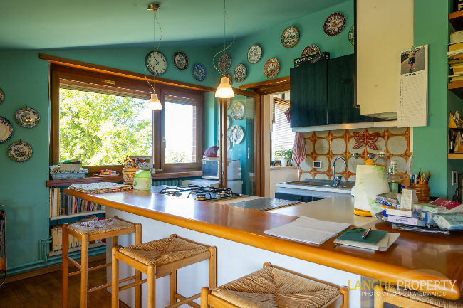 Barbaresco villa with stunning view of vineyards and Alps