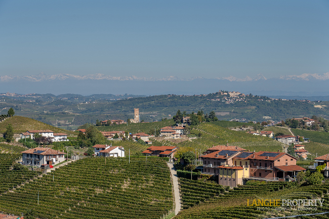 Barbaresco villa with stunning view of vineyards and Alps