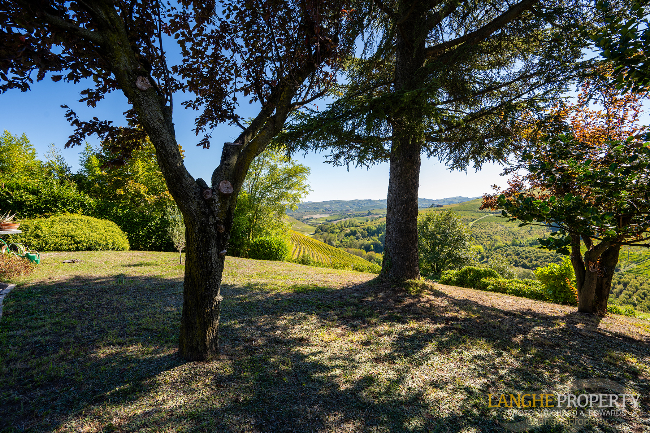 Barbaresco villa with stunning view of vineyards and Alps
