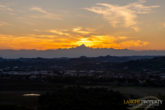 Barbaresco villa with stunning view of vineyards and Alps