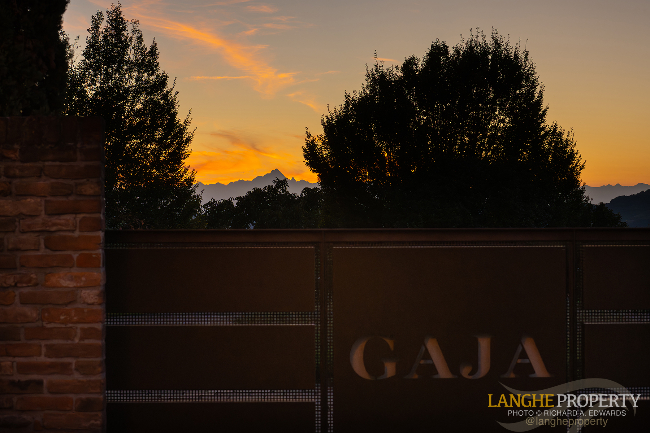 Barbaresco villa with stunning view of vineyards and Alps