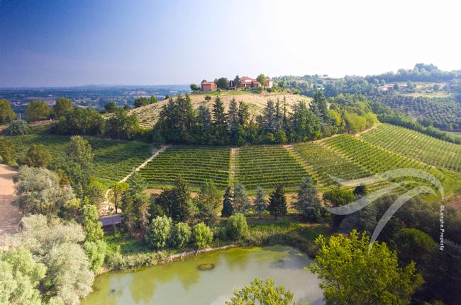 Unique wine property in stunning position