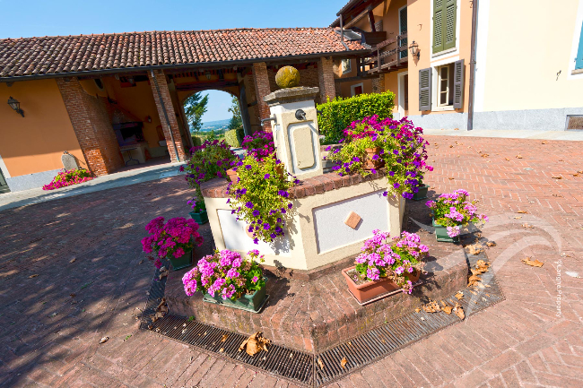 Unique wine property in stunning position