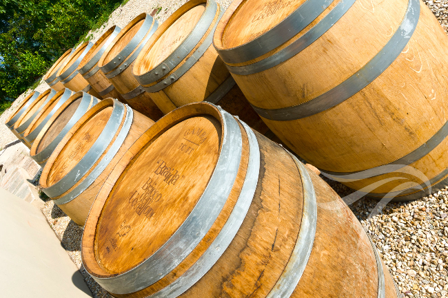 Unique wine property in stunning position