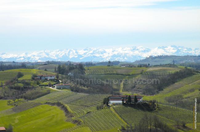 Luxury villa in beautiful position