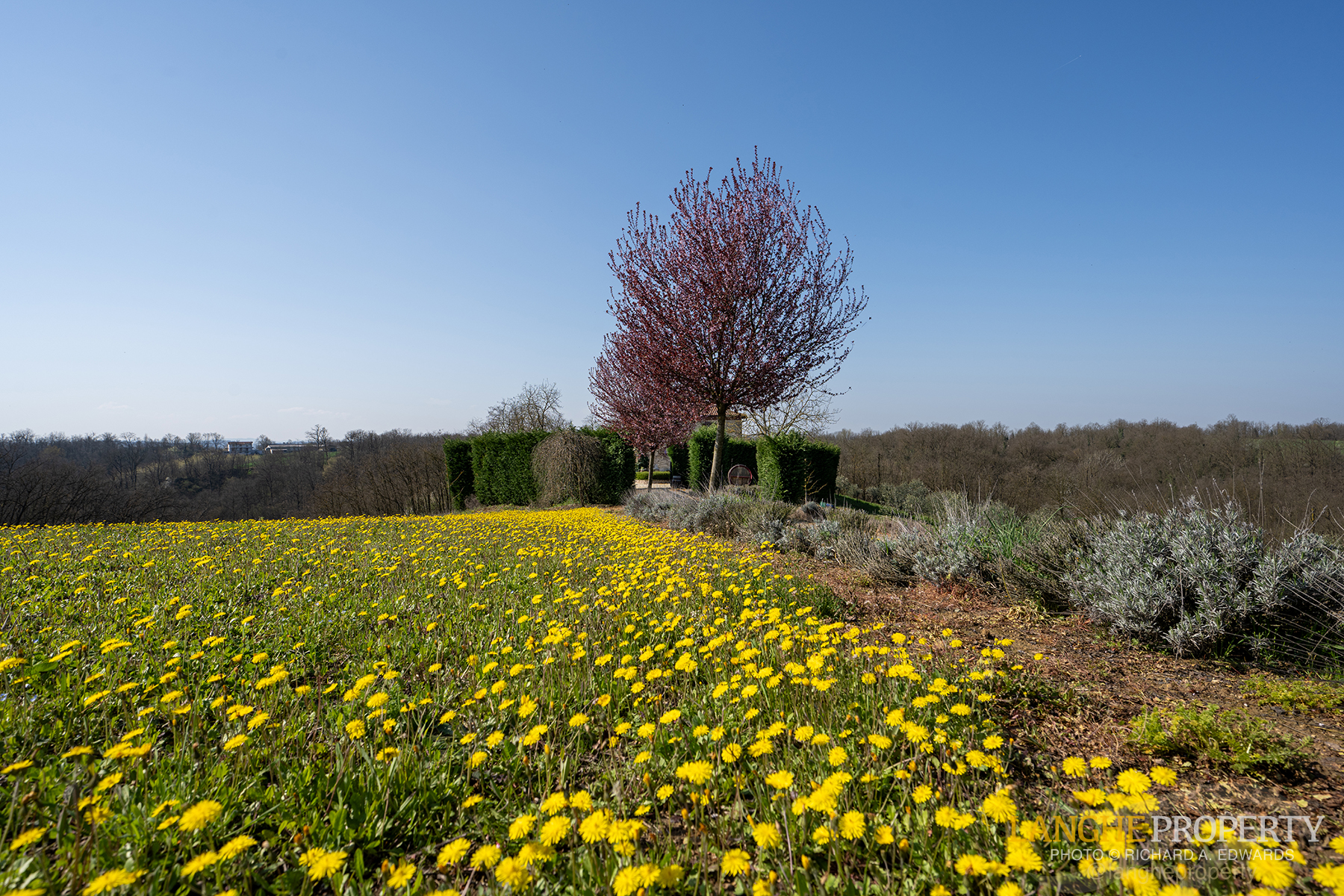 A luxury Italian country home where beauty, comfort, and nature meet